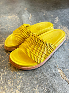 Wal & Pai Yellow Slides