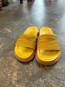 Wal & Pai Yellow Slides