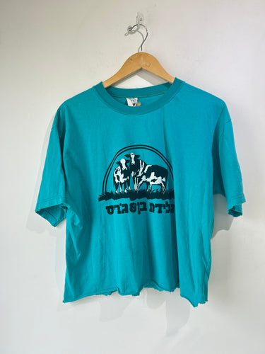 Ben & Jerry's Israel Tee