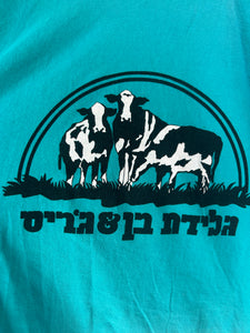 Ben & Jerry's Israel Tee