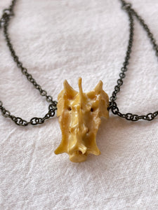 Animal Bone Necklace