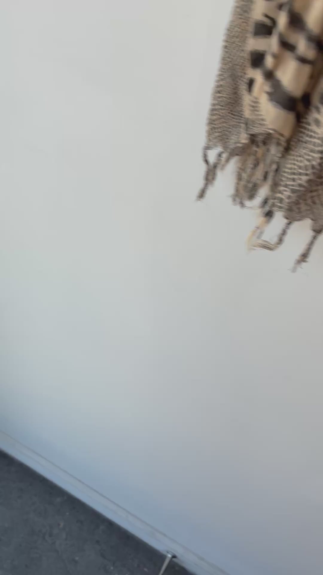 Accessory Institute Animal Print Scarf
