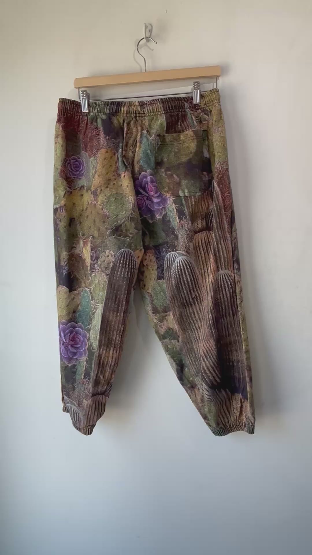 Spunge Pants Cacti Print Men's Size XL